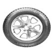 185/65R14 86T SNOWAYS 4 resmi