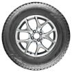 215/65R15C 104/102T WINTUS2 resmi
