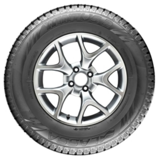 215/65R15C 104/102T WINTUS2 resmi