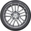 225/60R17 103V XL TURANZA ALL SEASON resmi